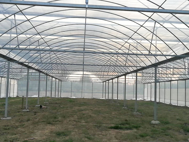 Five layer coextrusion greenhouse film